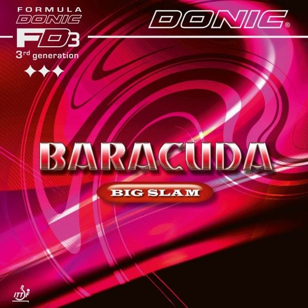 Baracuda BigSlam